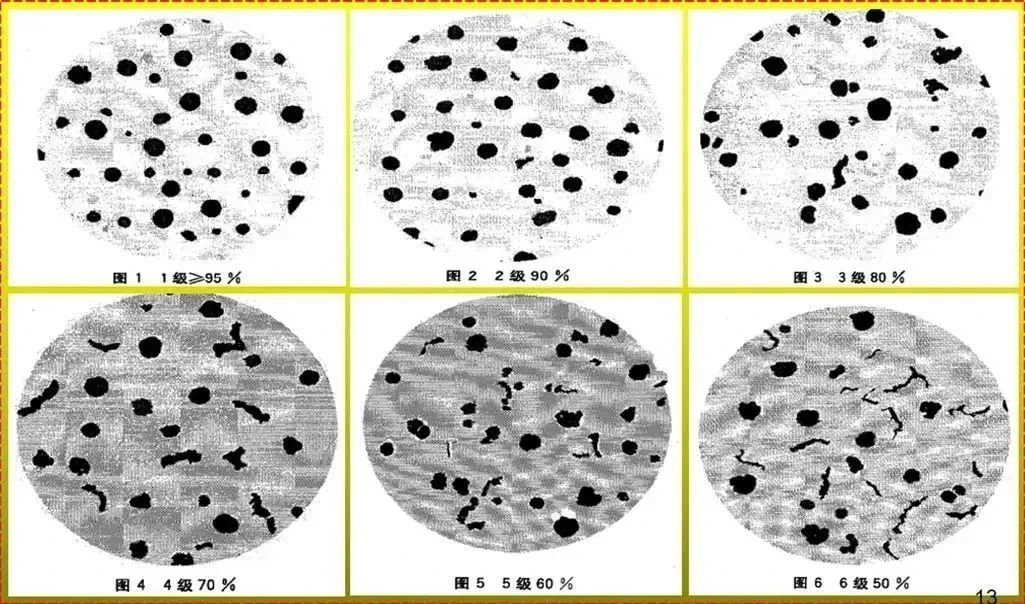 微信图片_20230417104506.jpg